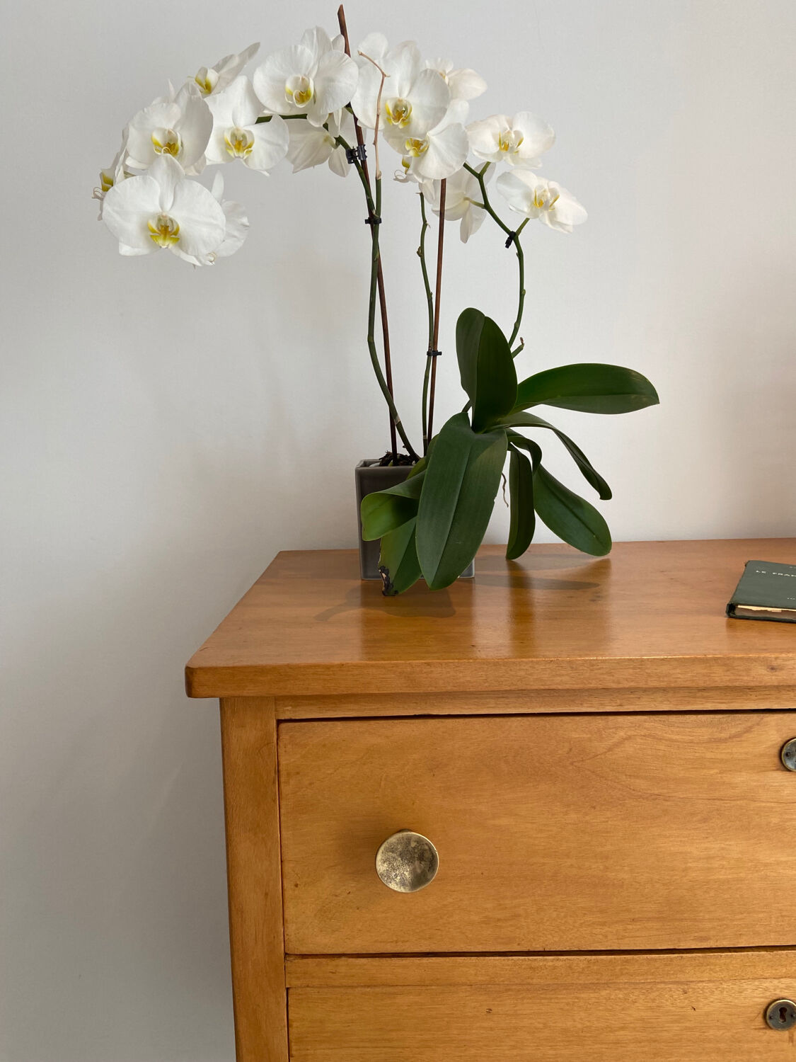Vintage chest of drawers