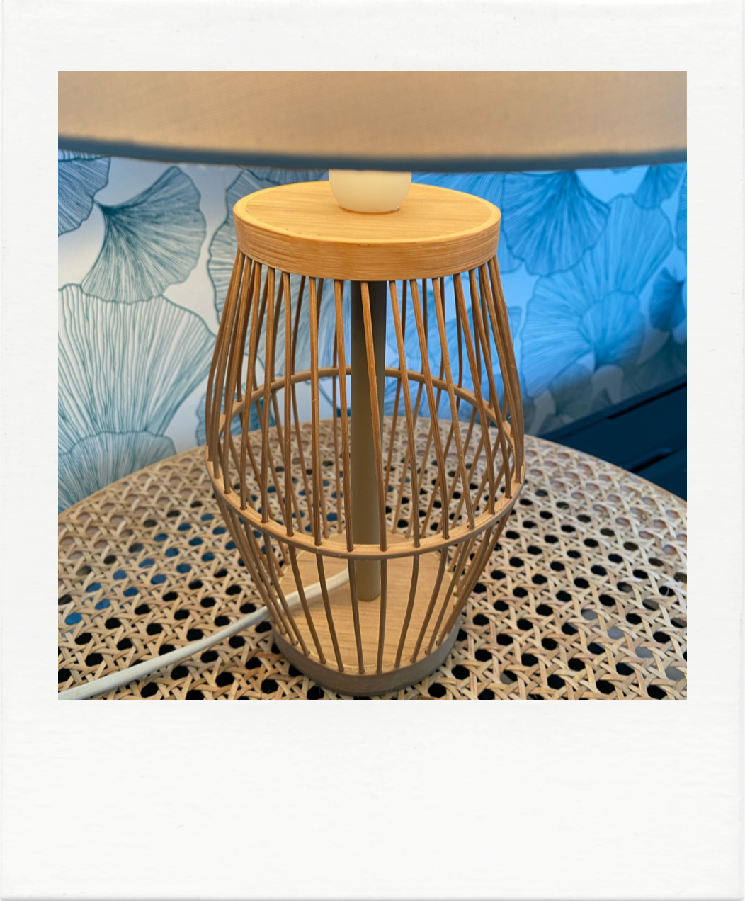 Bamboo cage lamp