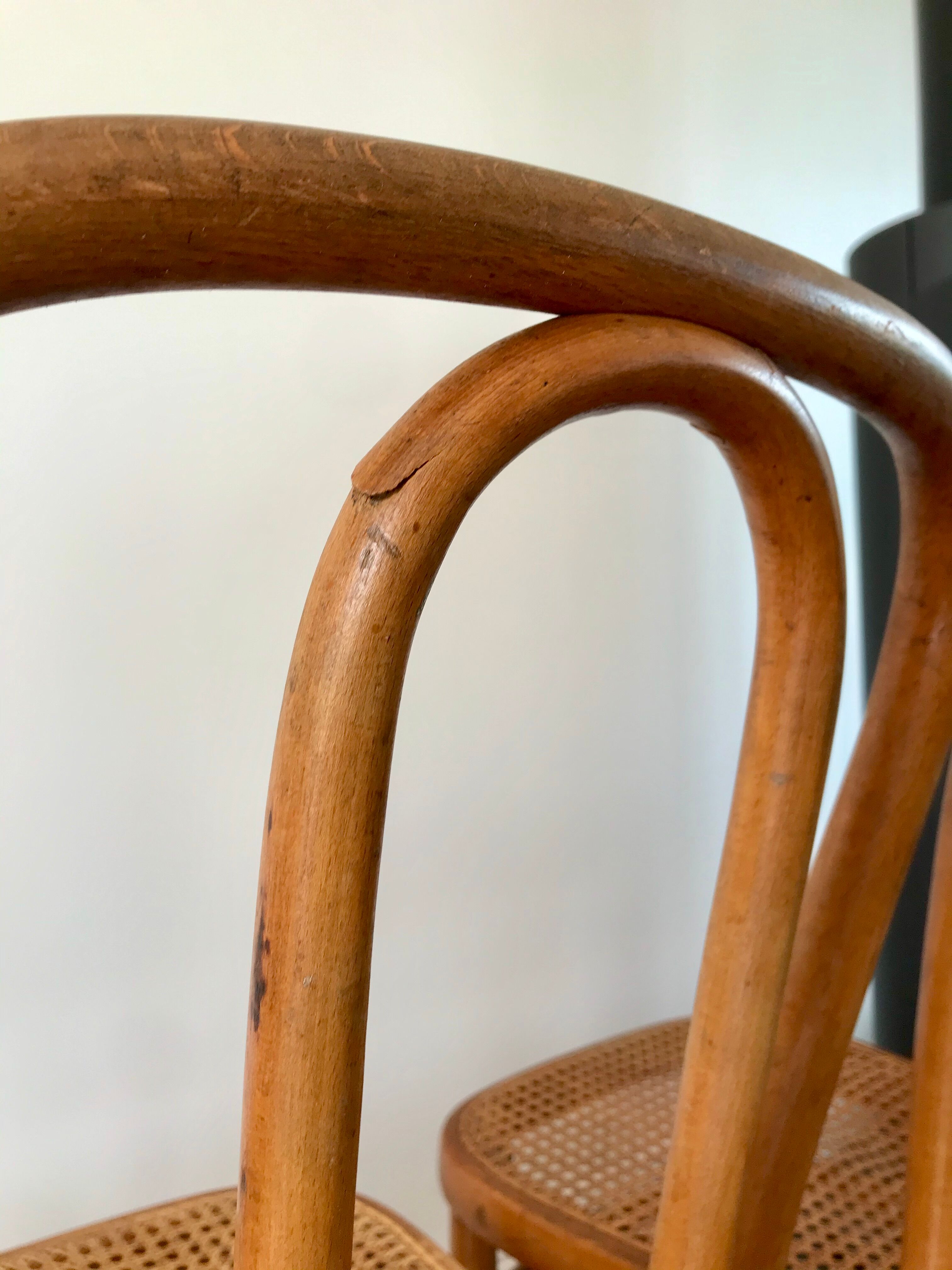 Set of 4 cane chairs in bentwood and honey-coloured cane thonet early 20th century