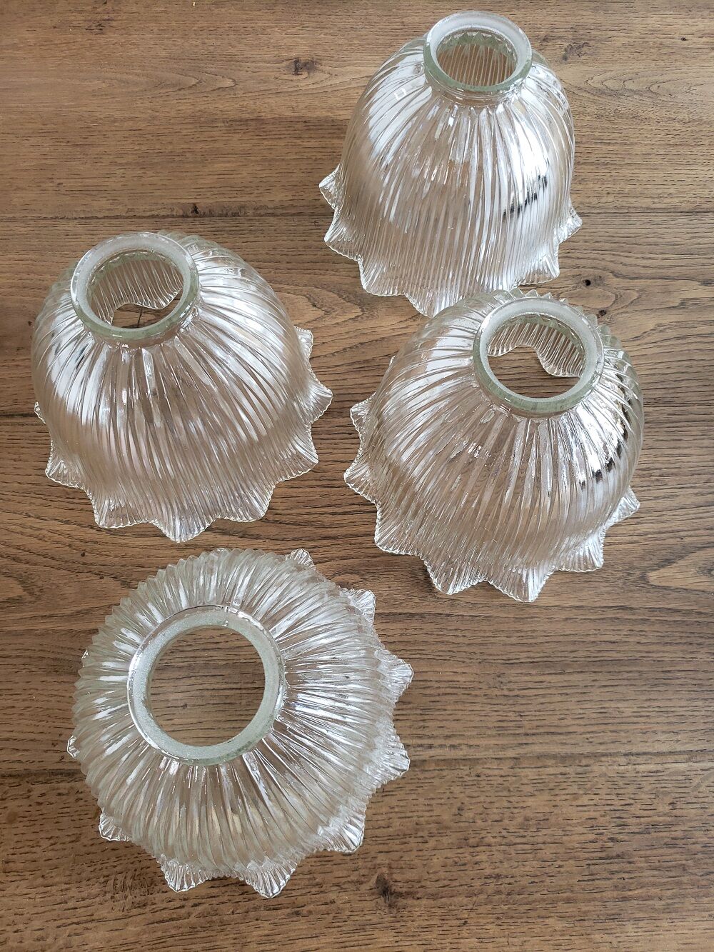 Tulipe vintage