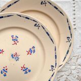 8 vintage K&G Luneville "Flore" porcelain dinner plates, 1950s, small blue flowers