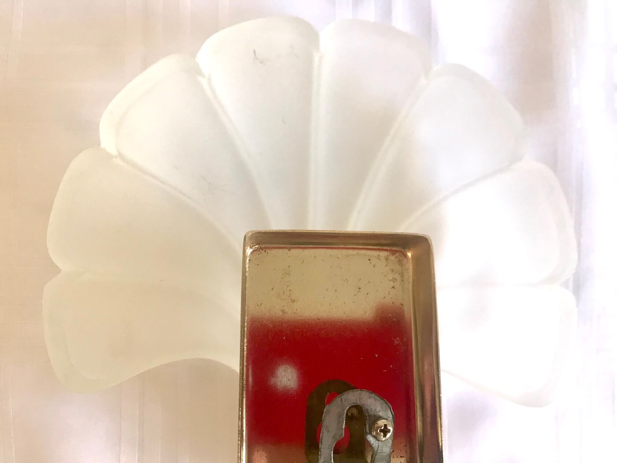 Pair of shell sconces