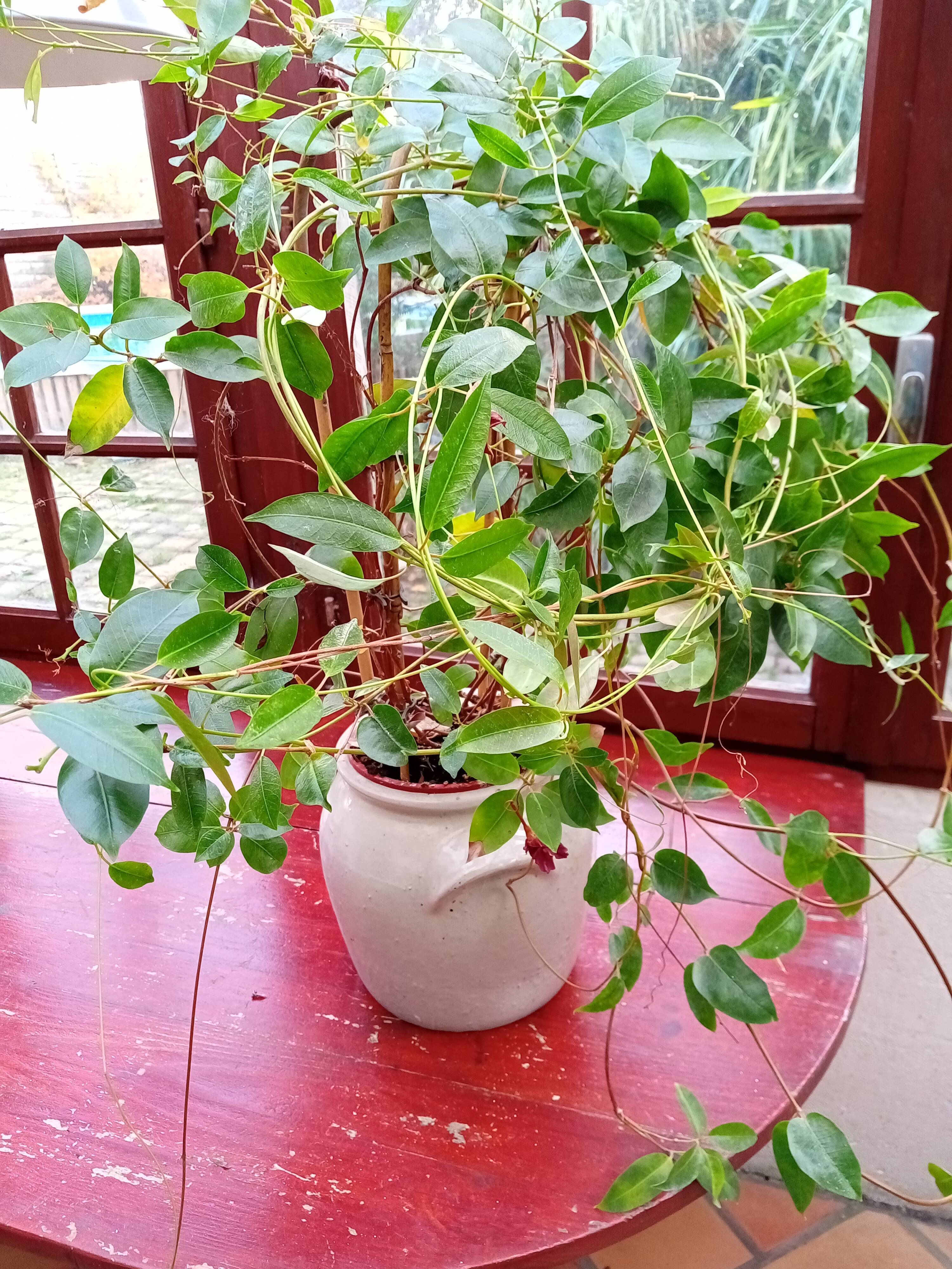 Off-white sandstone pot