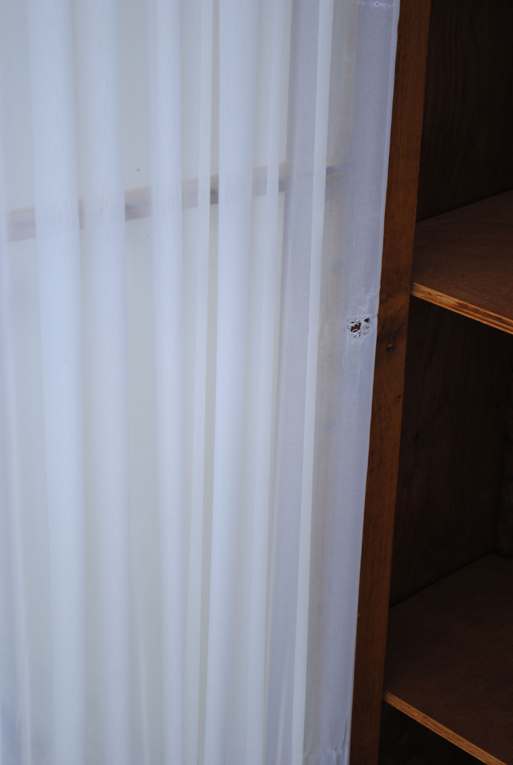 School oak bookcase year 50