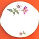 Serving dish with handles, fine Bohemian porcelain with floral decoration on a background.