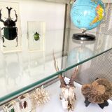 Old stainless steel window