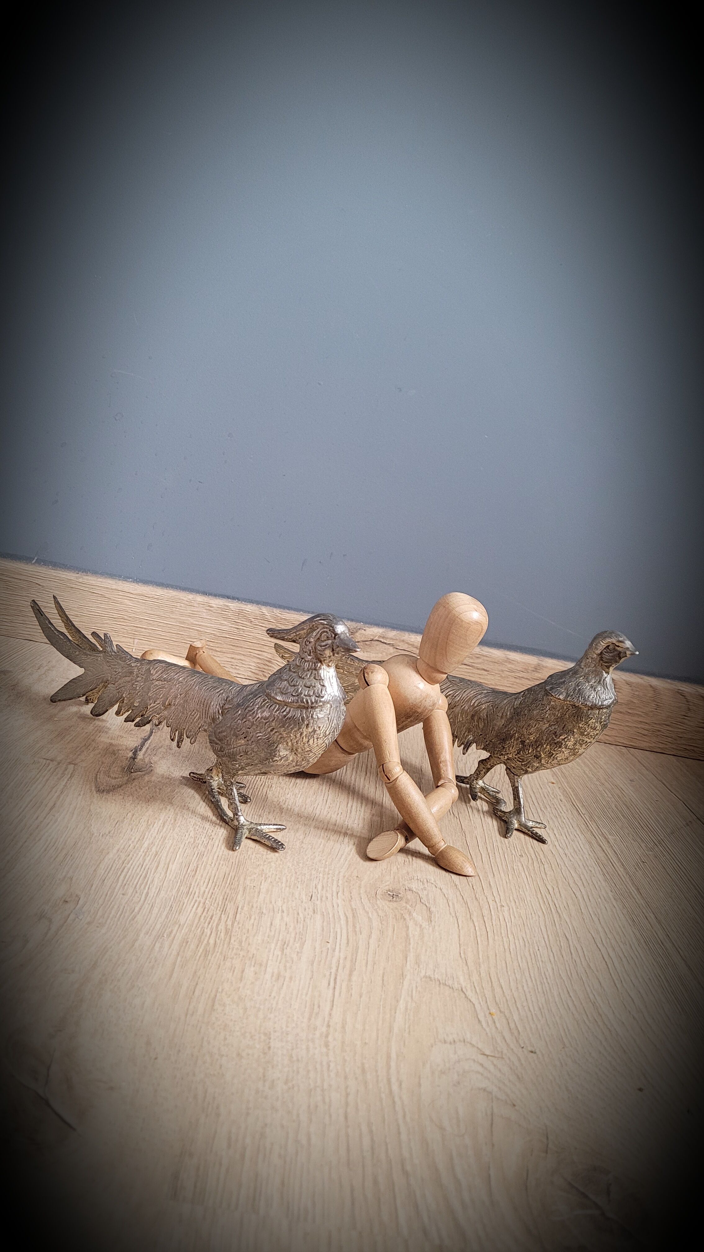 DuO of peacocks