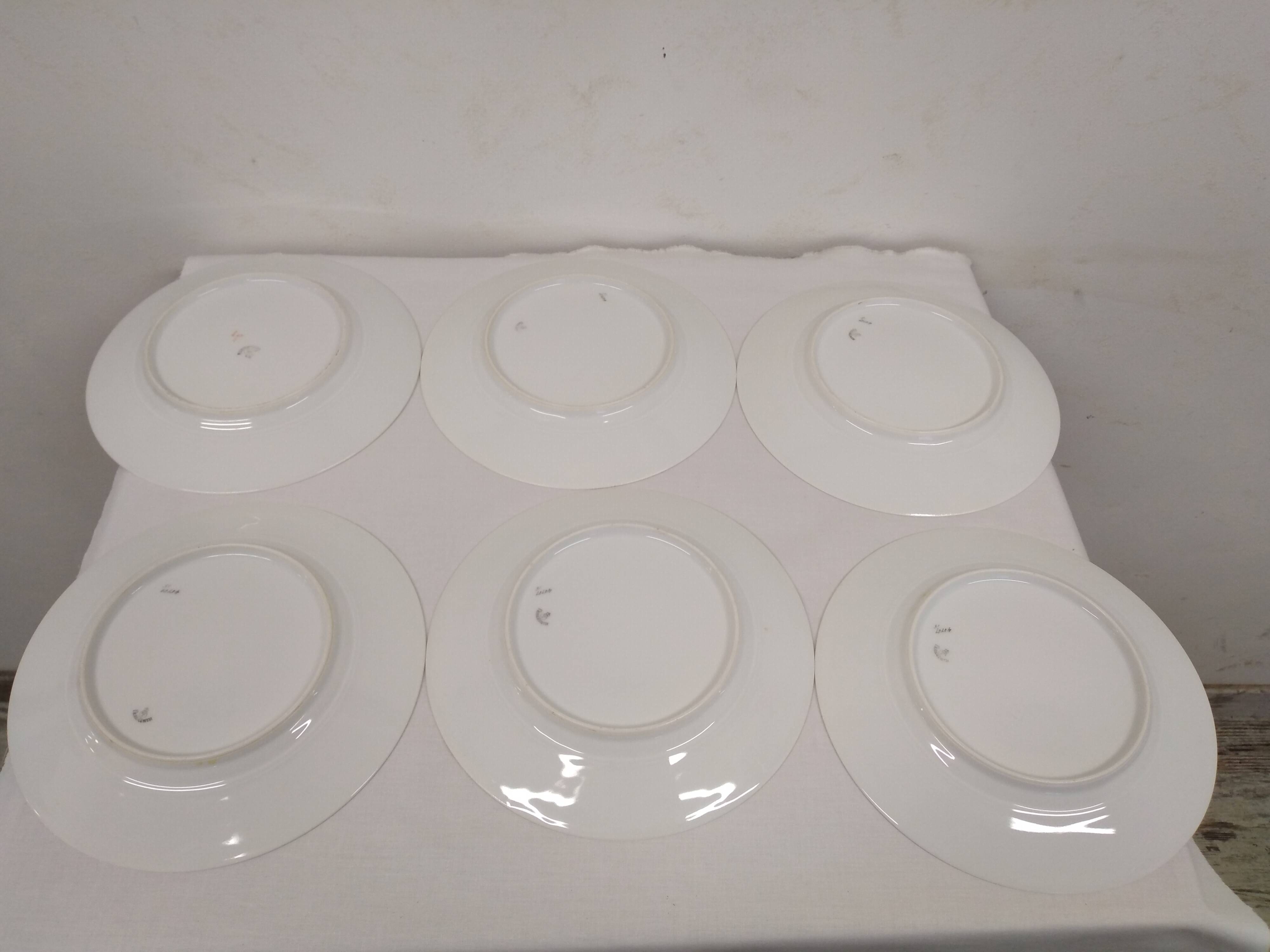 Fraureuth German porcelain plate service