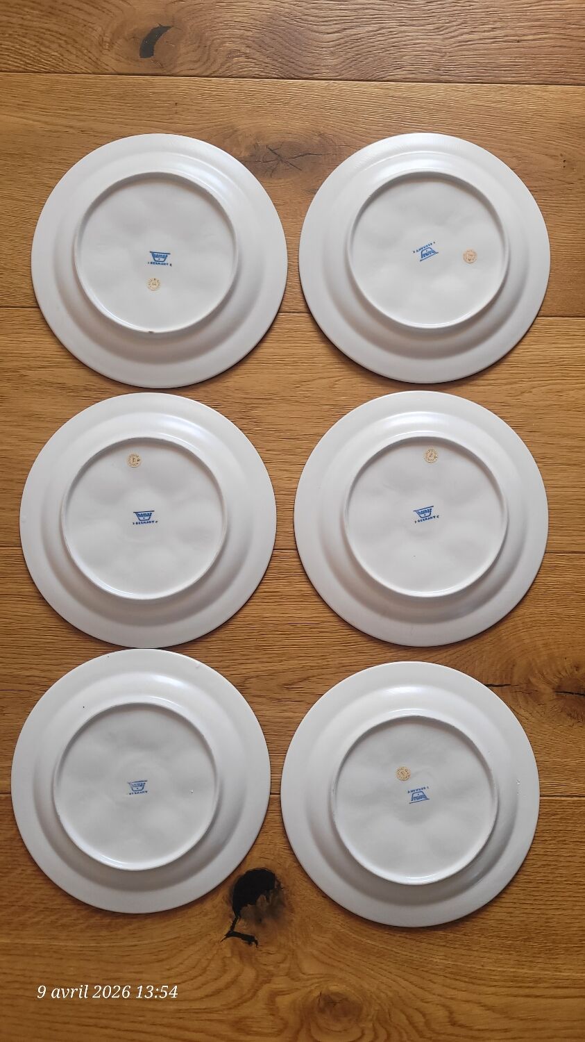 6 snail plates Thomas