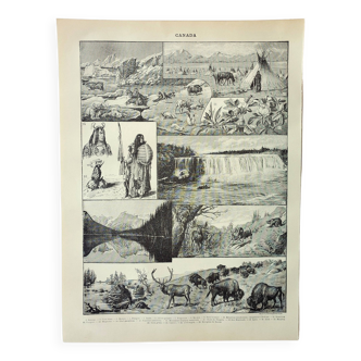 Gravure ancienne de 1898 • Canada : faune, flore, tribu •