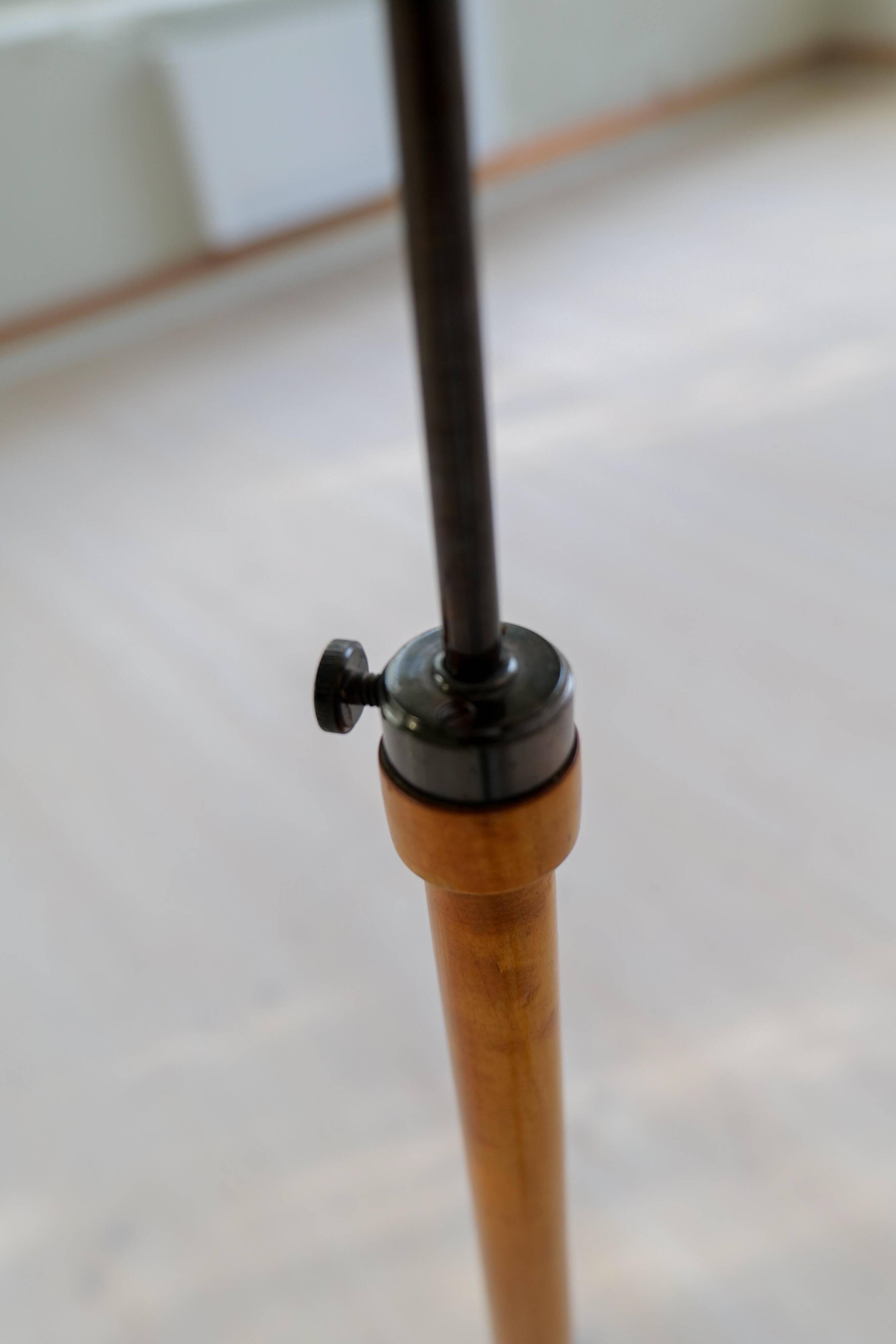 Organic Art Deco floor lamp in stained birch, Sweden, 1930s.