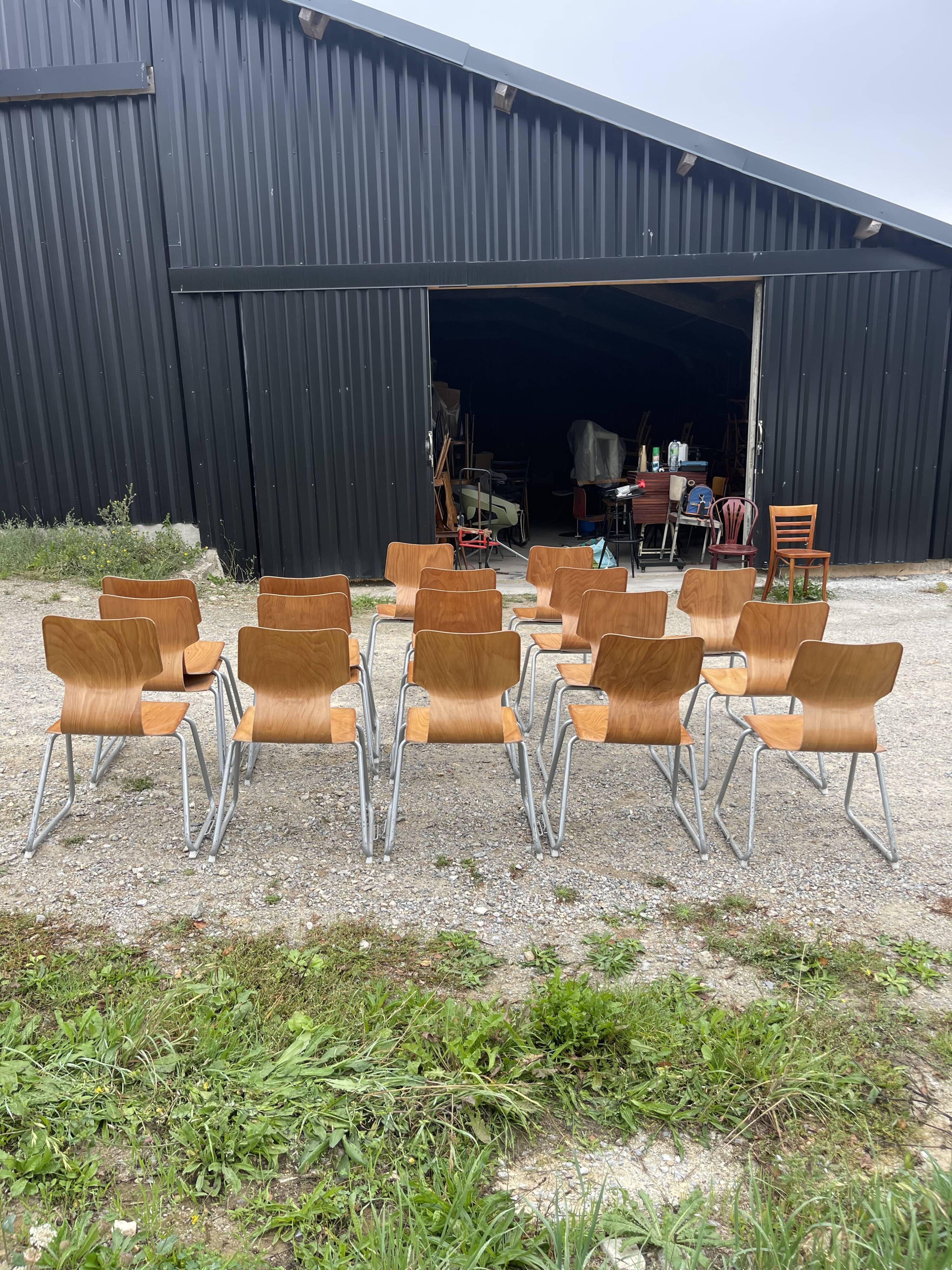 Chairs pagholz base sled light wood