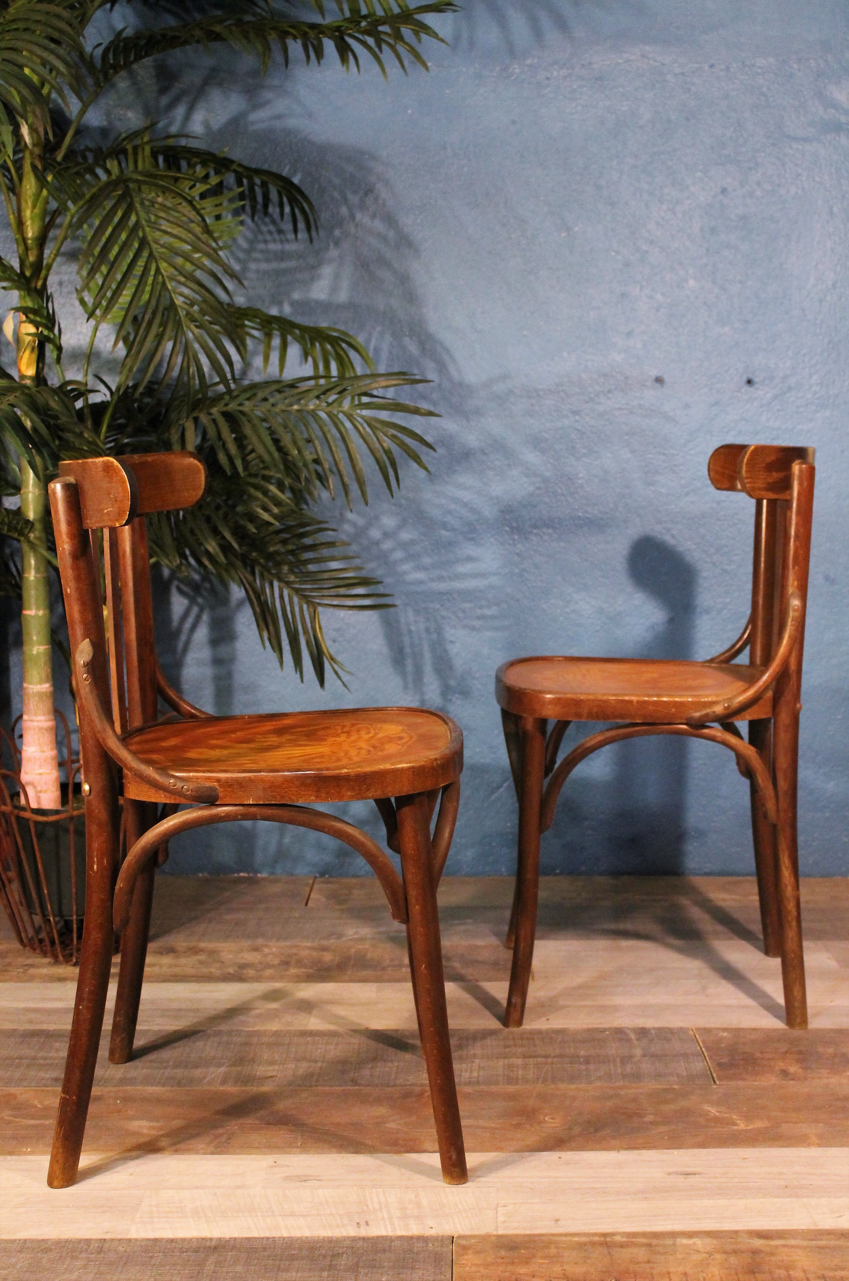 Fischel "Bistrot" chairs at the beginning of the 20th century