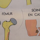 Rossignol educational posters