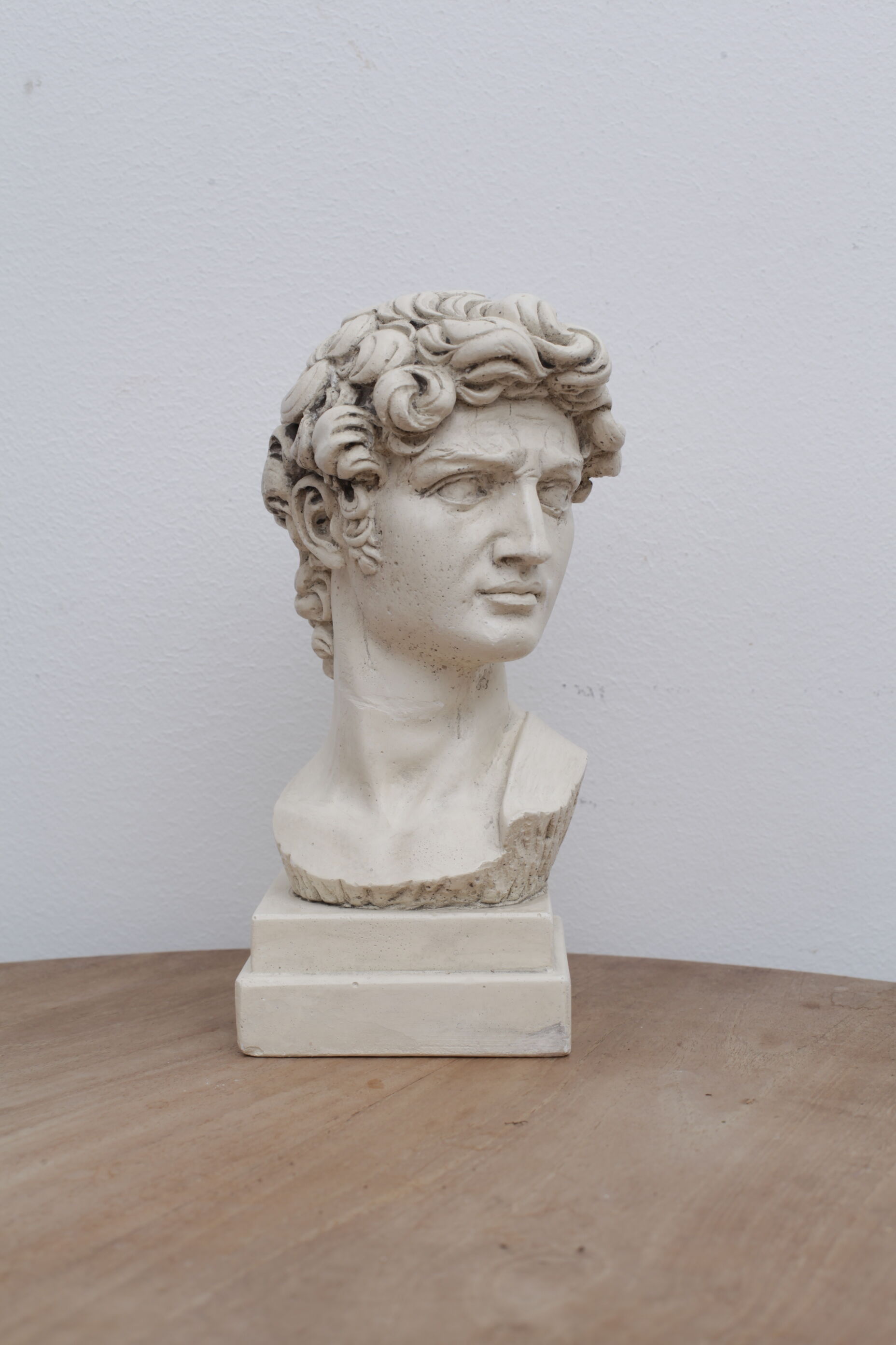 David head in waxed ivory white plaster