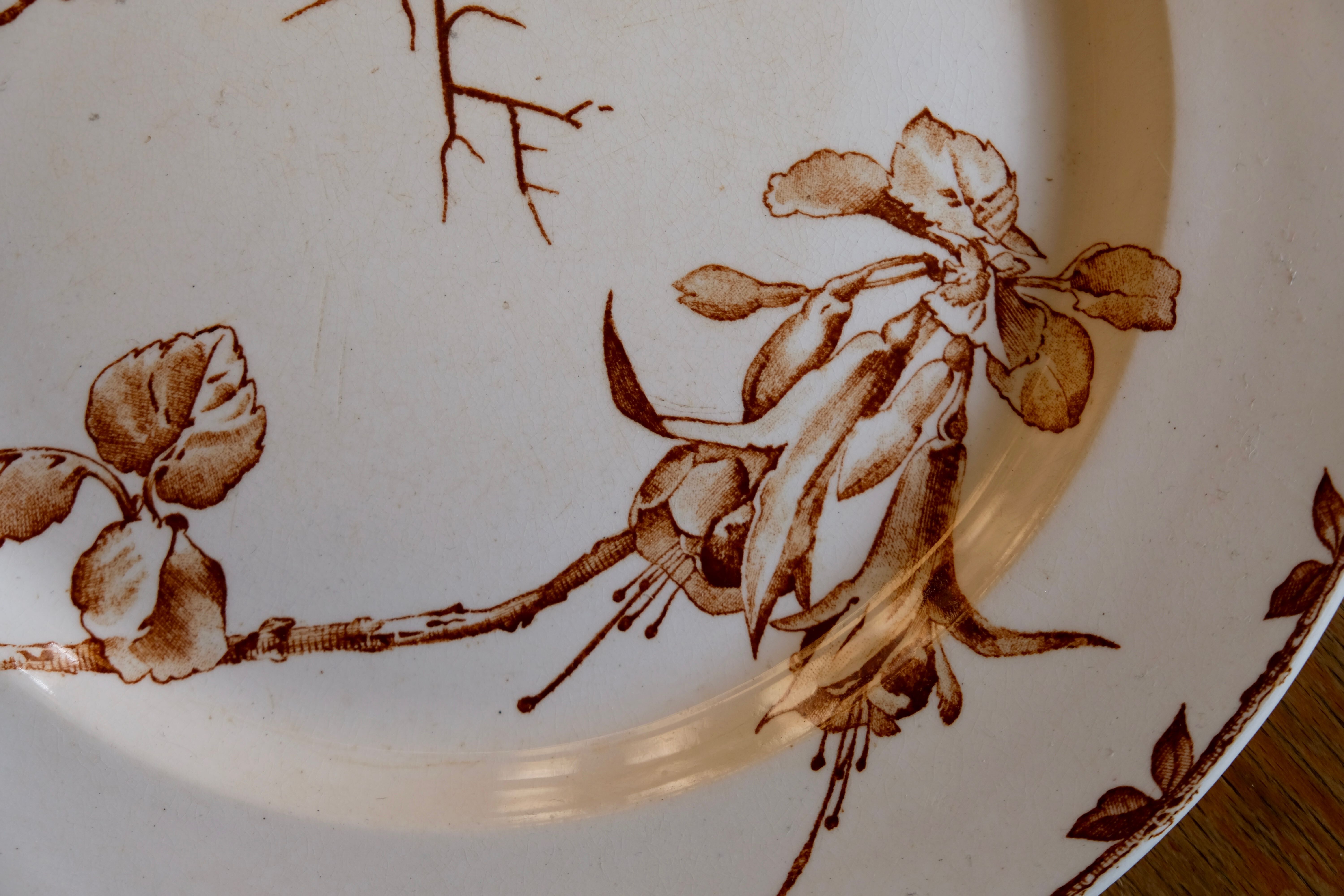 Antique brown Oxford model plate, HB - Choisy-le-Ro Co., 1900s