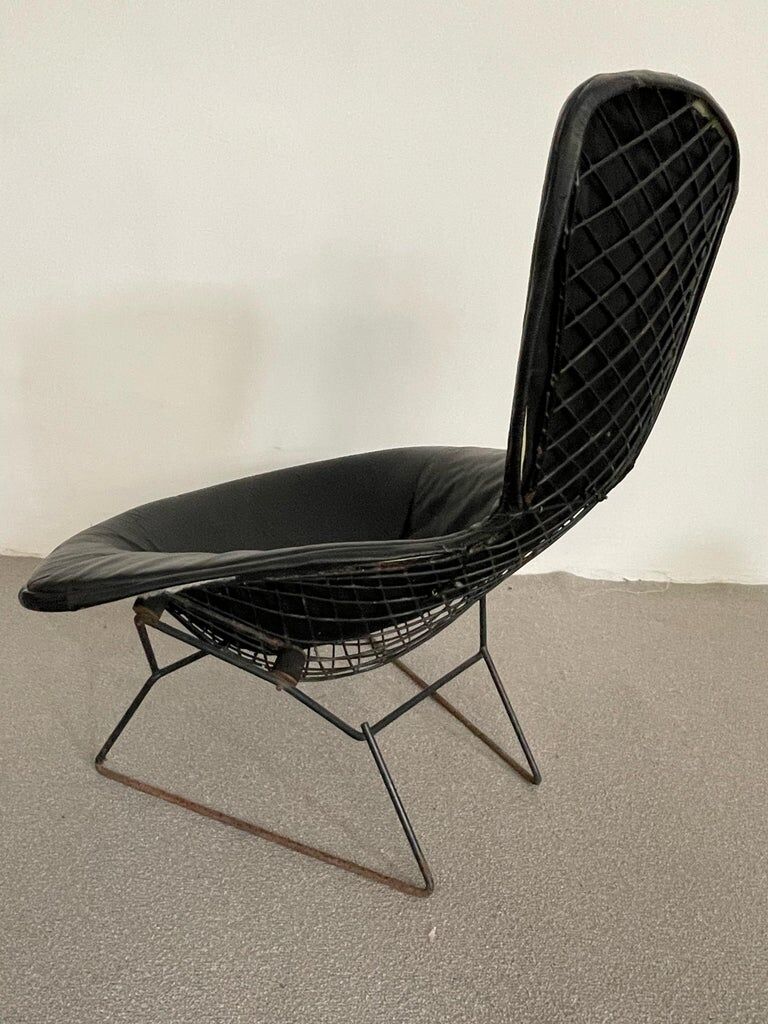Bird Chair Harry Bertoia for Knoll Black