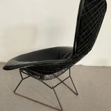 Bird Chair Harry Bertoia for Knoll Black