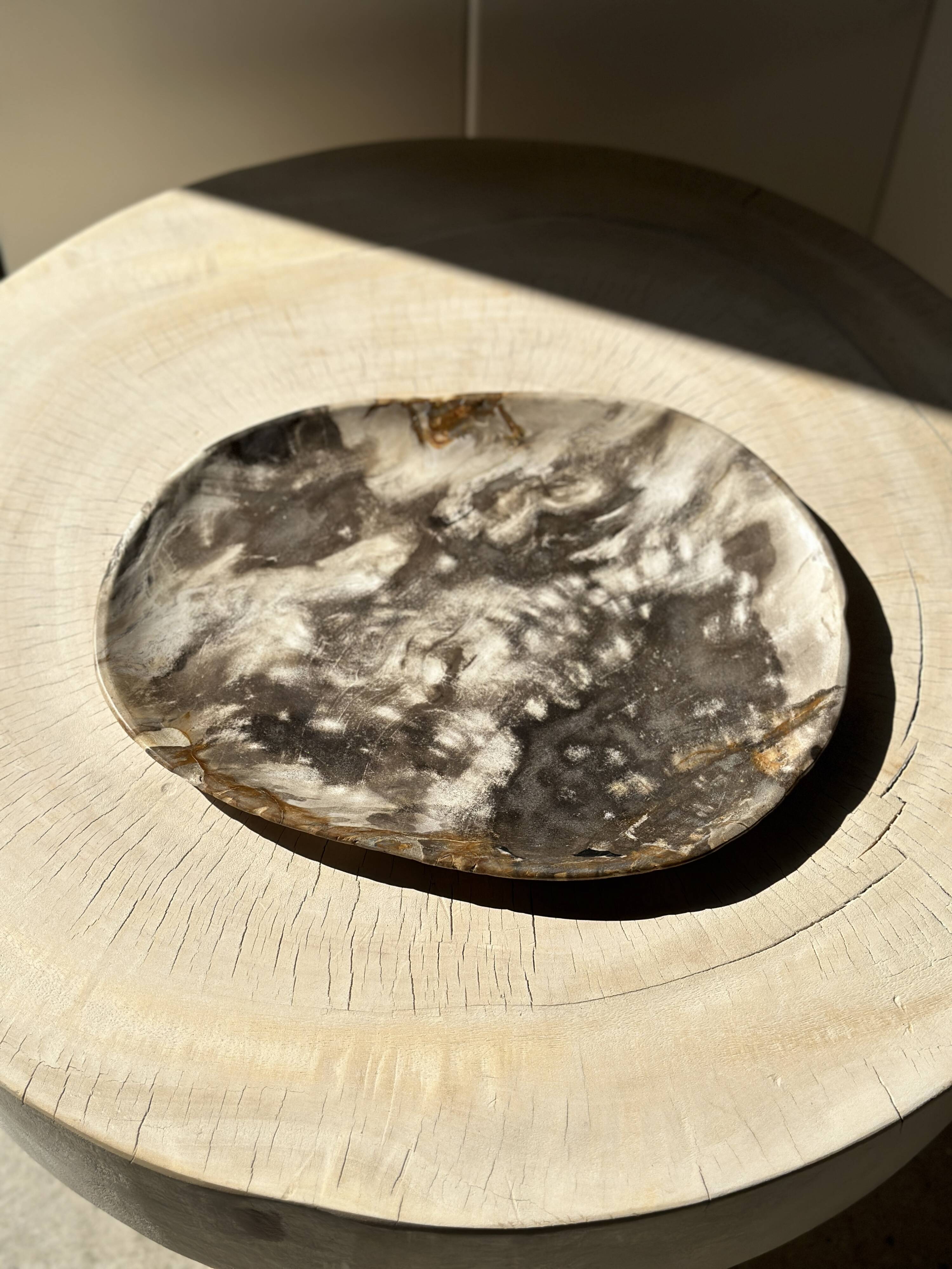 Very large empty pocket or dish in medium light petrified wood 1143