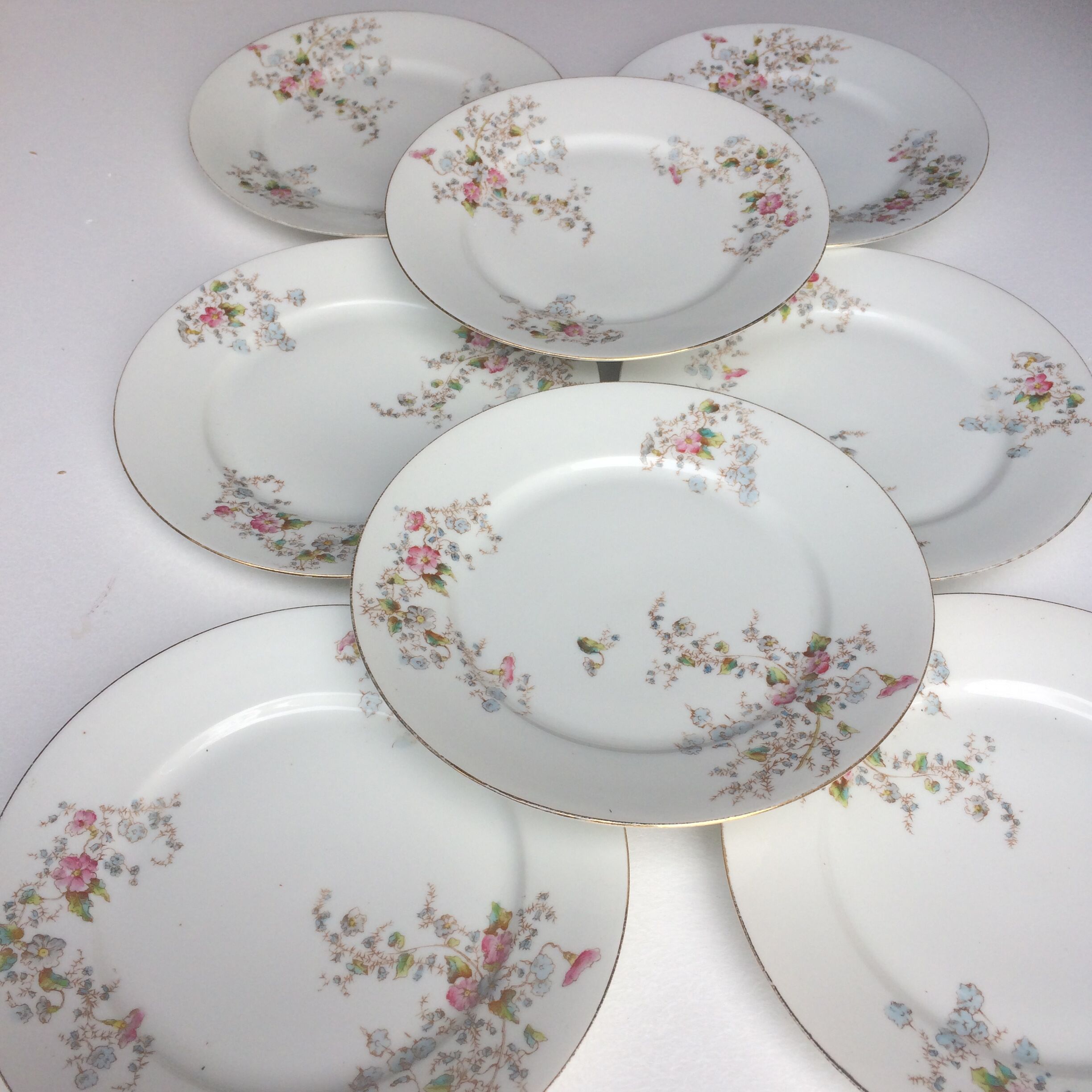 Porcelain plates from Limoges