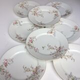 Porcelain plates from Limoges