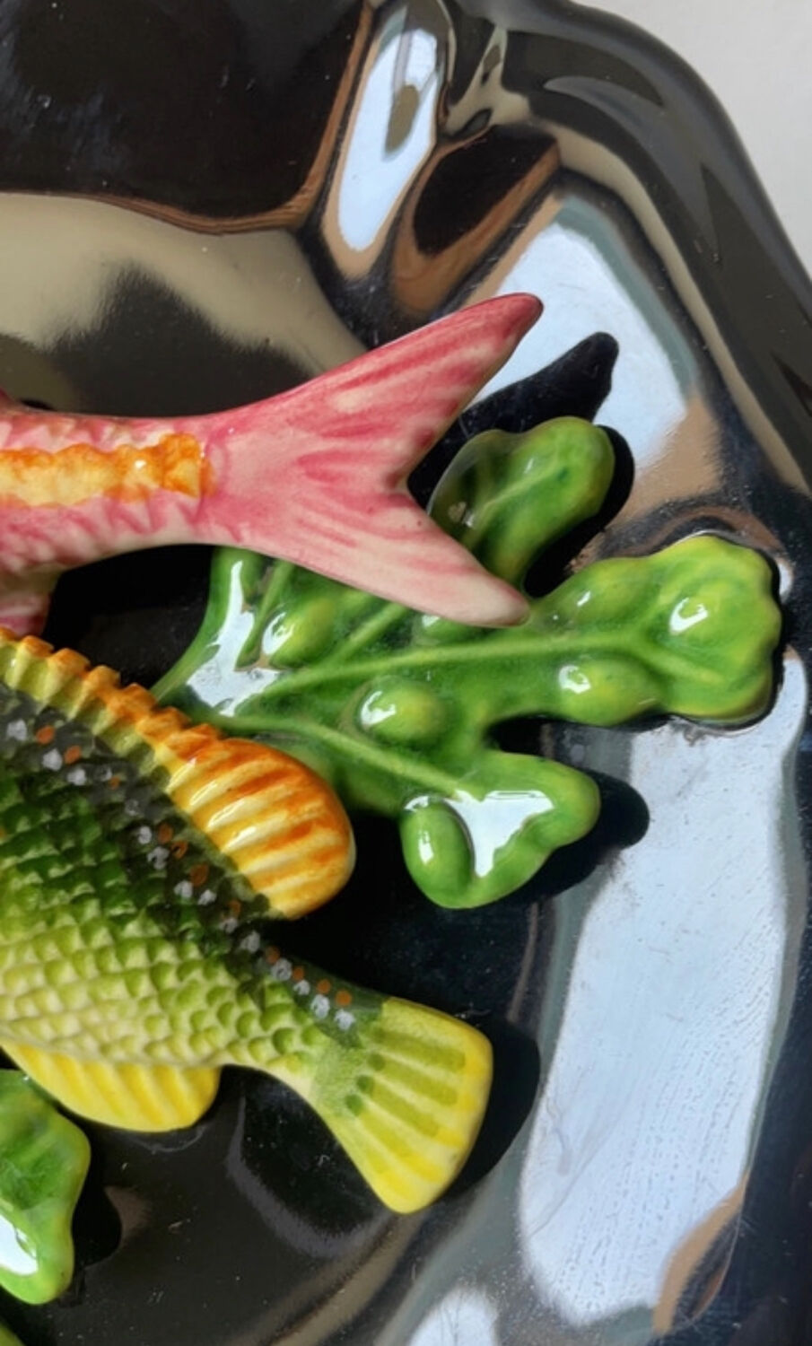 Plate deceived the eye