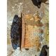 4 cast iron planters from 1900 from Charleville-Mézières, rockery style