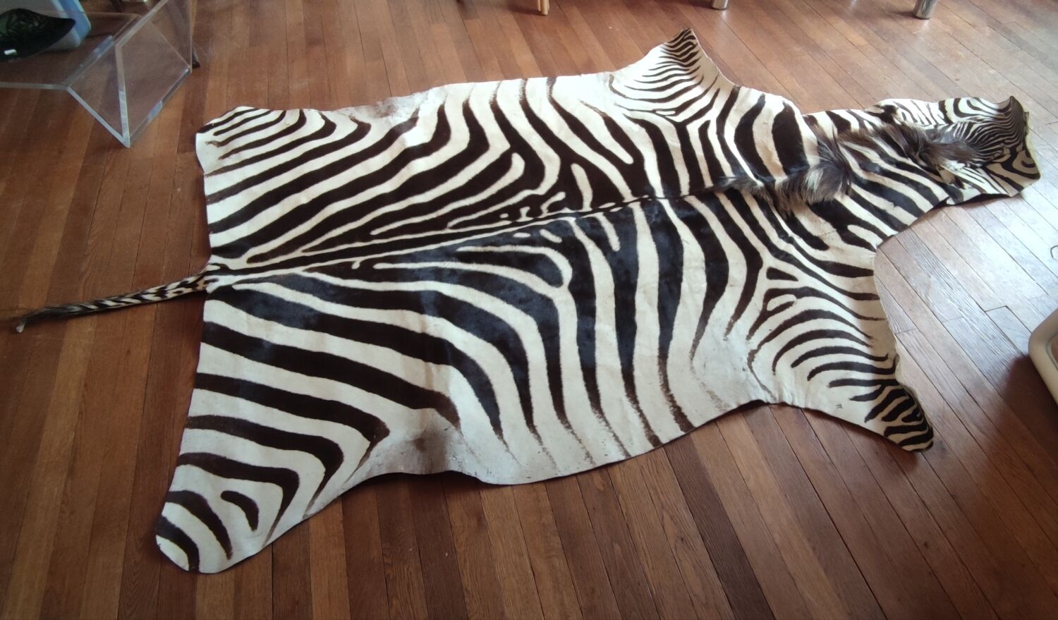 Zebra skin rug