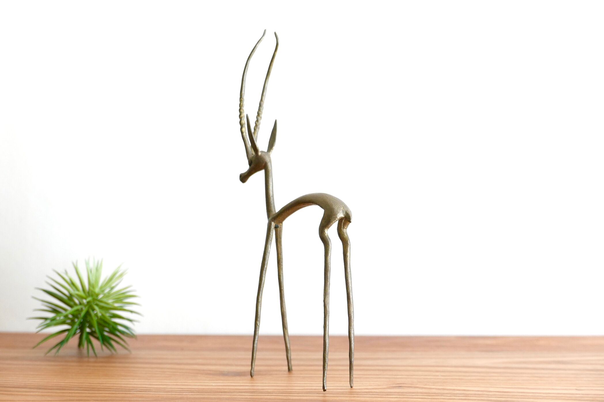 Gazelle brass, 50 years