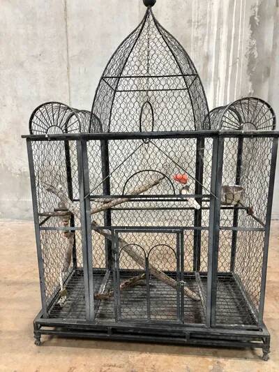 Aviary bird cage