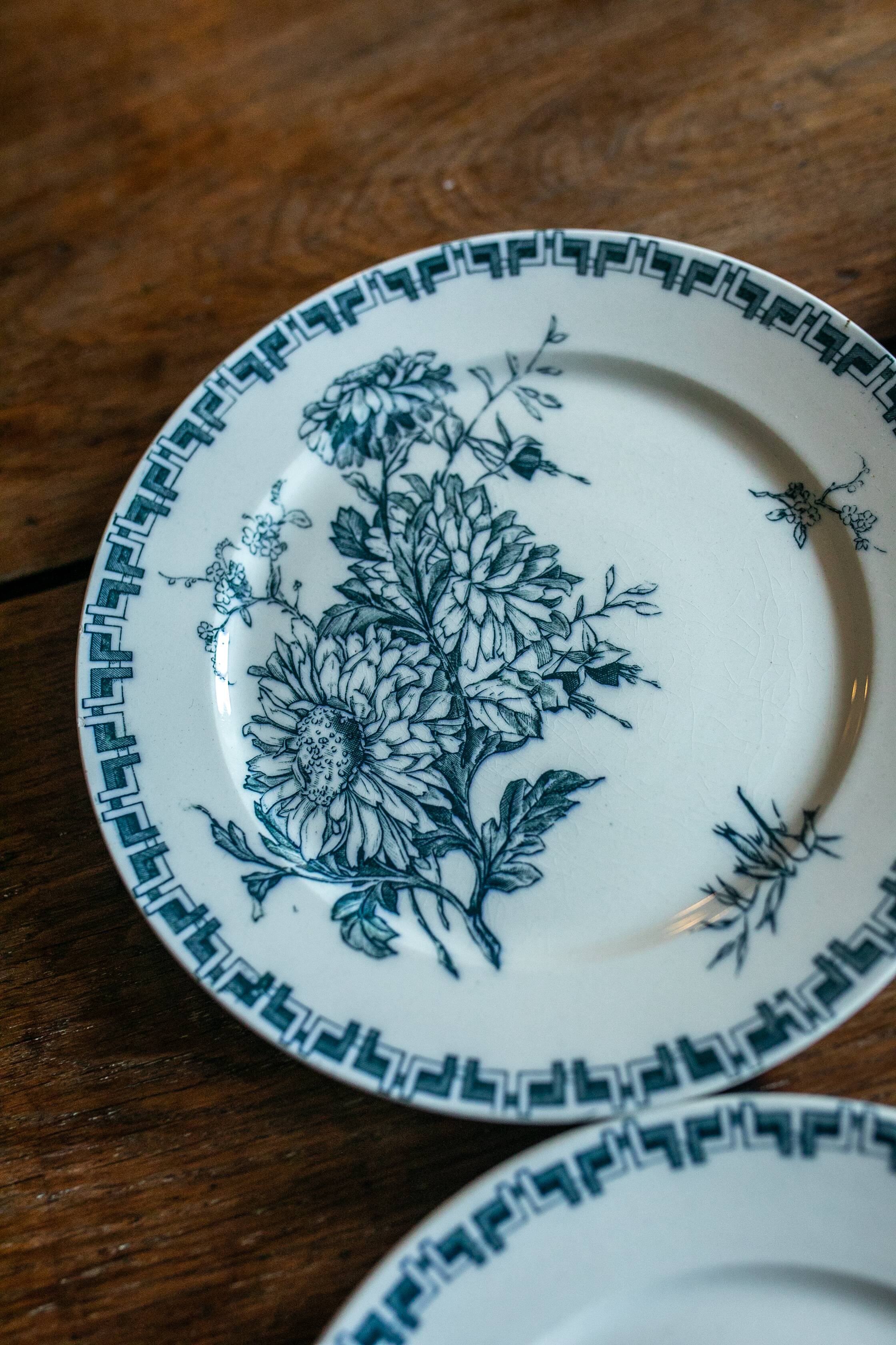 Les 6 assiettes sarreguemines