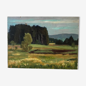 Landscape oil painting