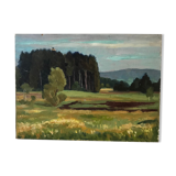 Landscape oil painting