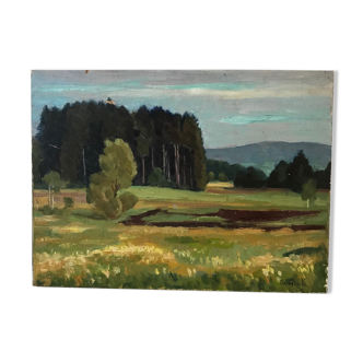 Landscape oil painting