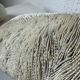 Paire de corail Fungia « coussin de requin »