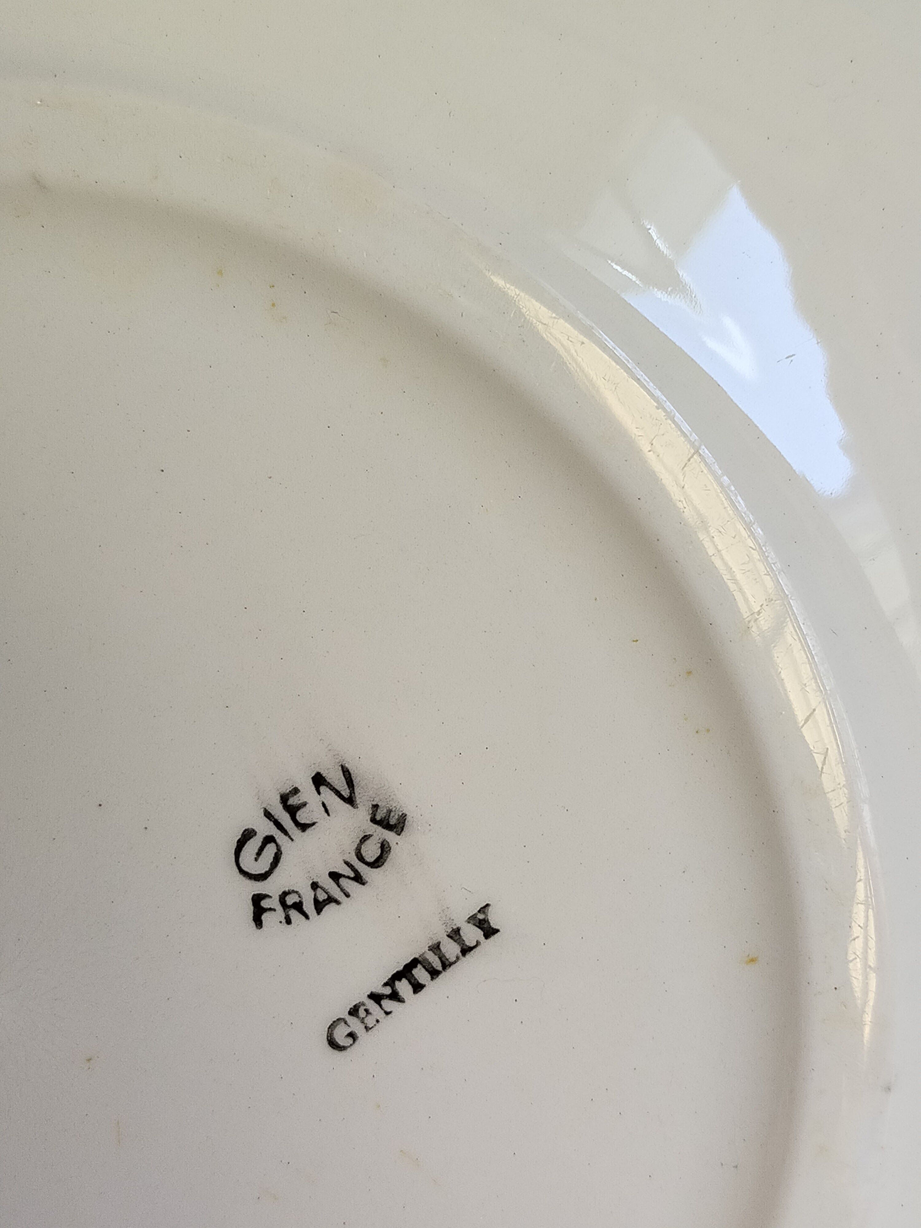 Seven vintage plates in fine earthenware from Gien service Gentilly