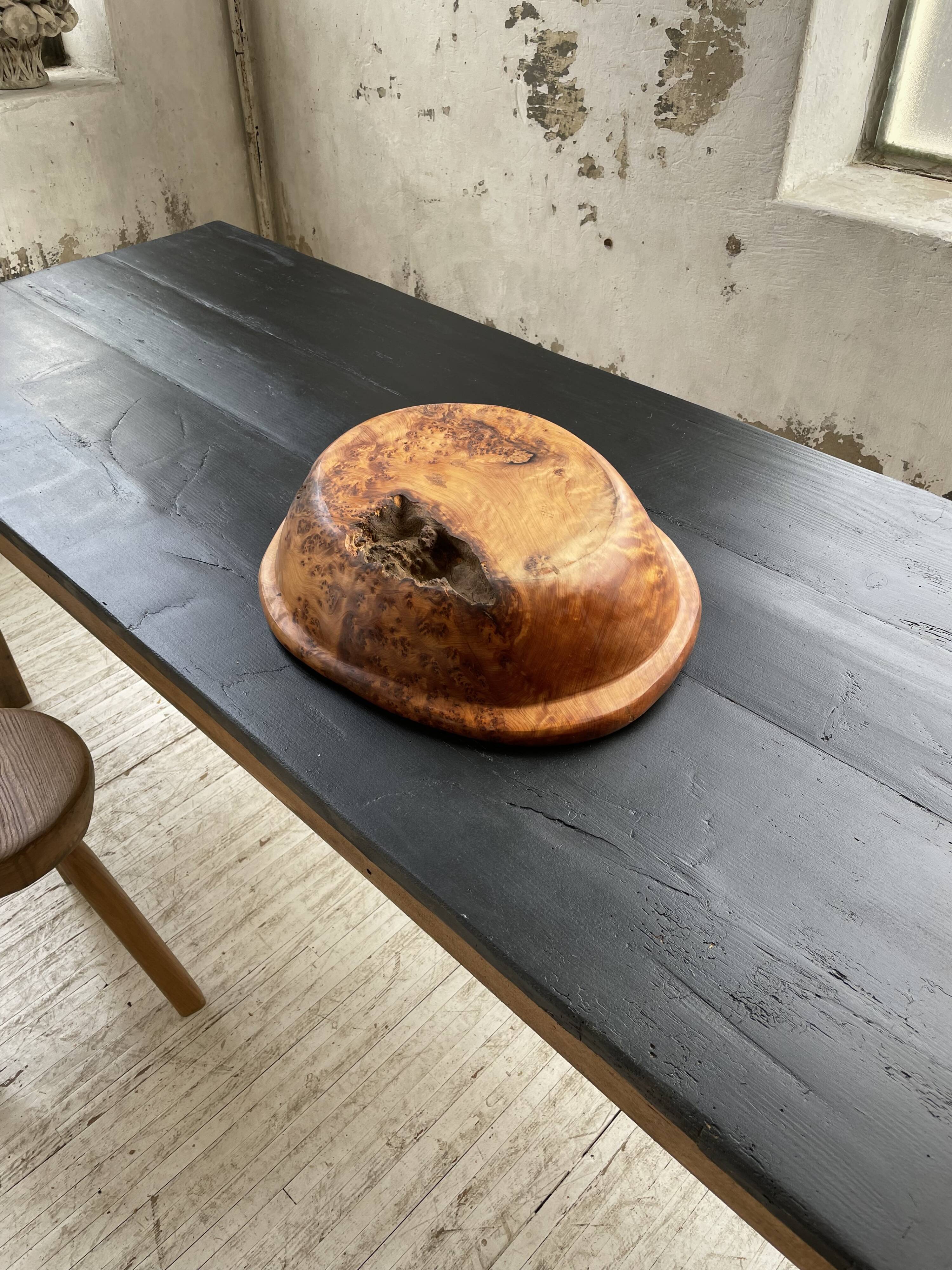 XL thuja root wooden dish