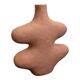 Organic shaped vase