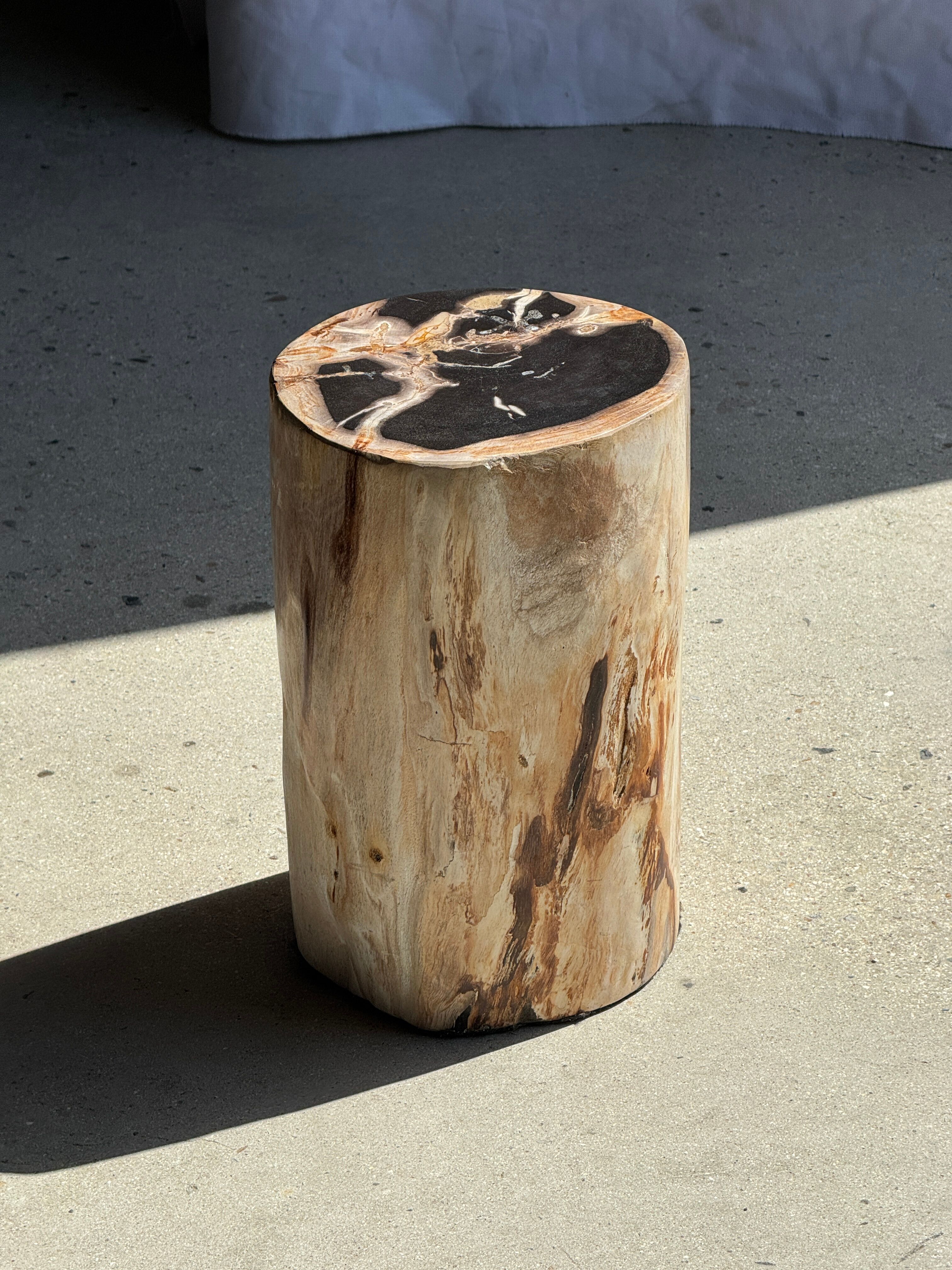 Petrified wood side table, black heart, beige bark, H35 D22 - 3330
