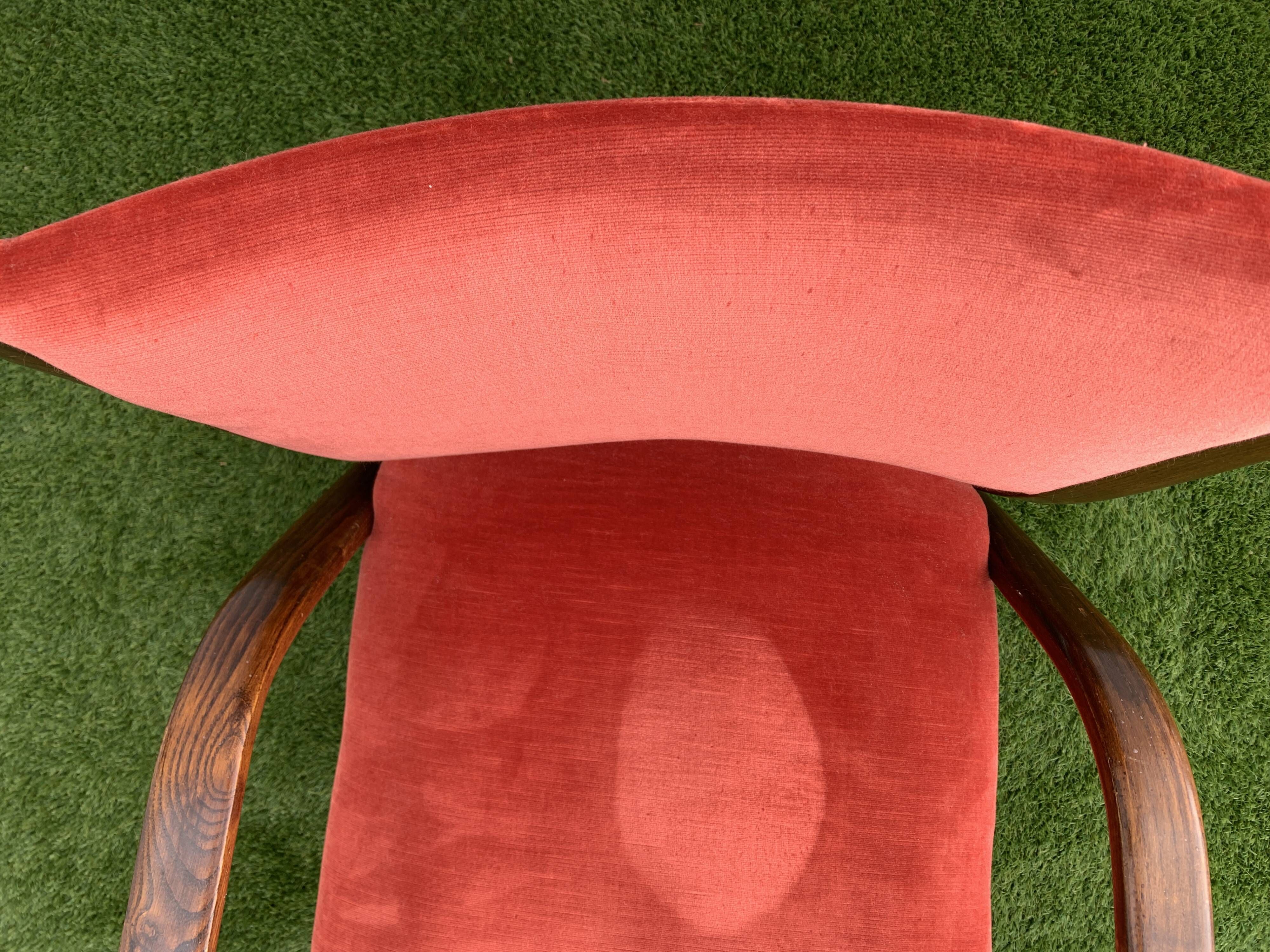 Hugues Steiner armchair, bow-wood model, curved wood and velvet, 1950