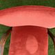Hugues Steiner armchair, bow-wood model, curved wood and velvet, 1950