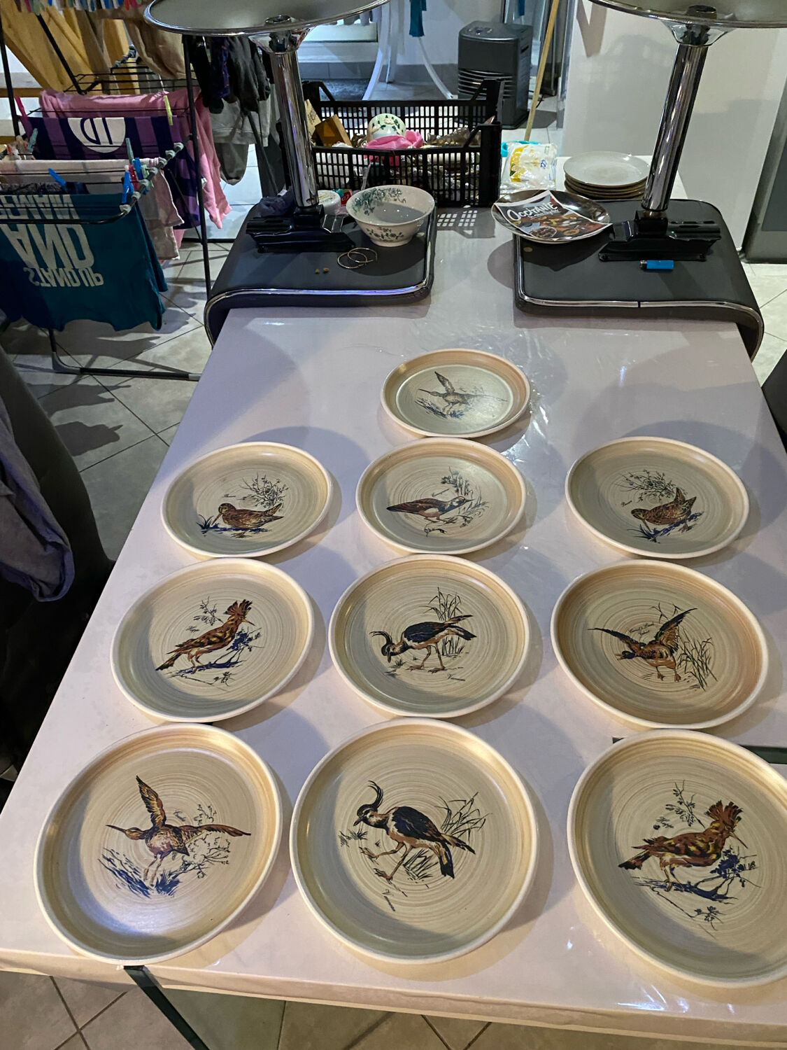 Many vintage flat plates from Sarreguemines.