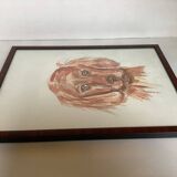Aquarelle de chien setter