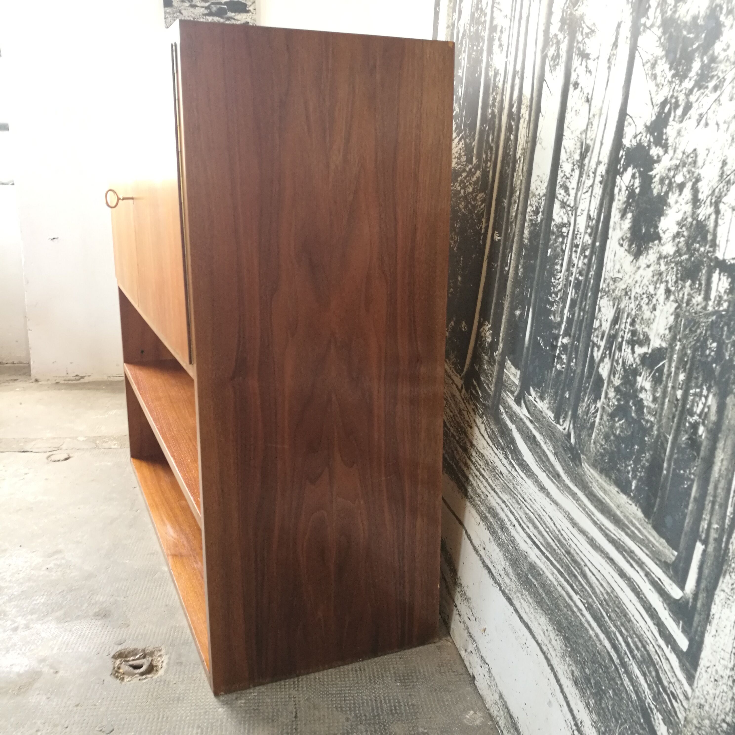 Shelf, mid century library