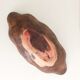Flat wooden bowl