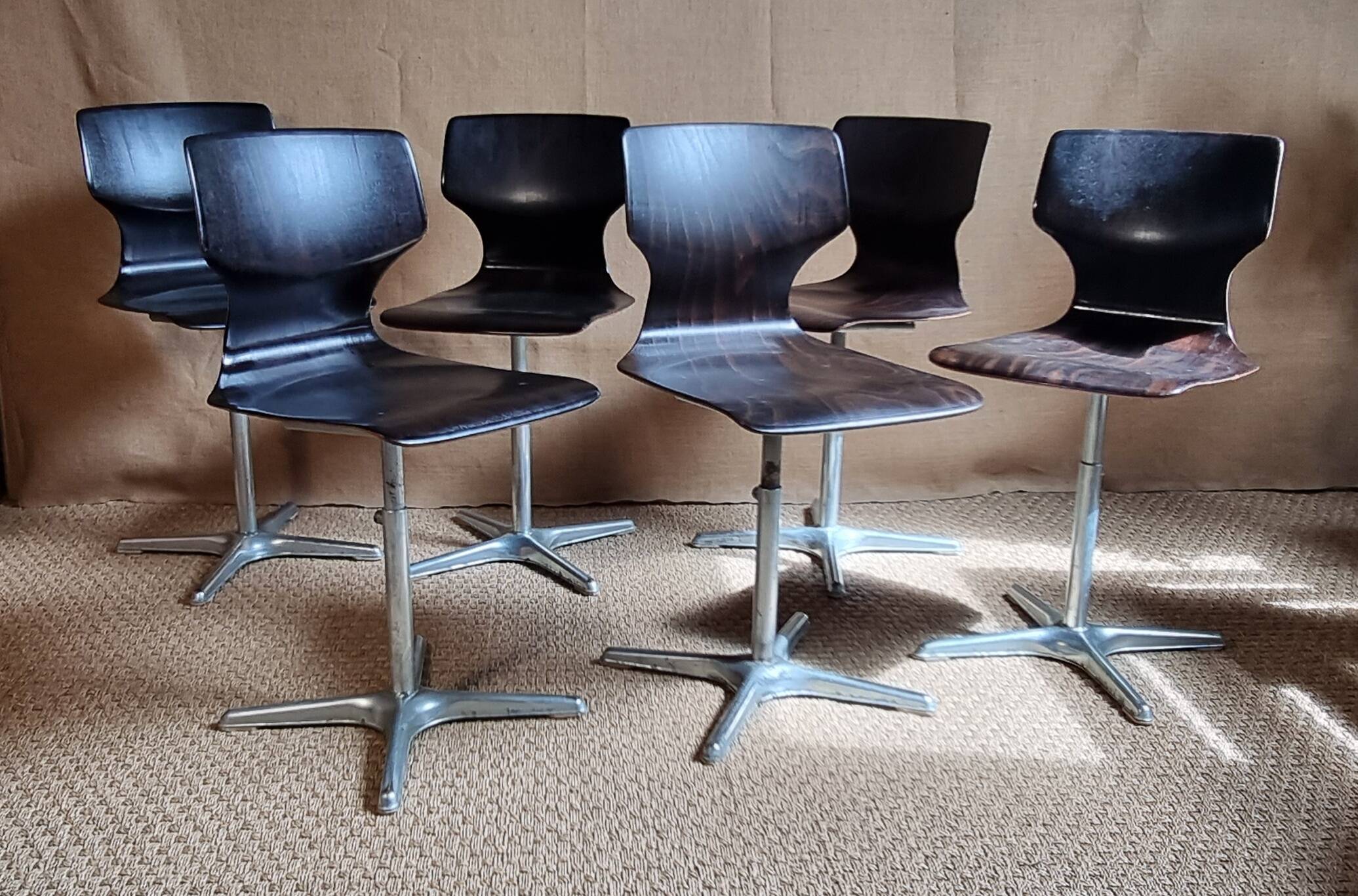 6 Pagwood Pagholz Flototo chairs from the 70s