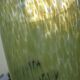 Glass vase or clichy crystal speckled yellow/green