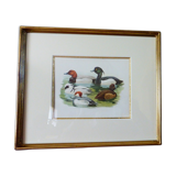 Birds - collection Hepatior N ° 31