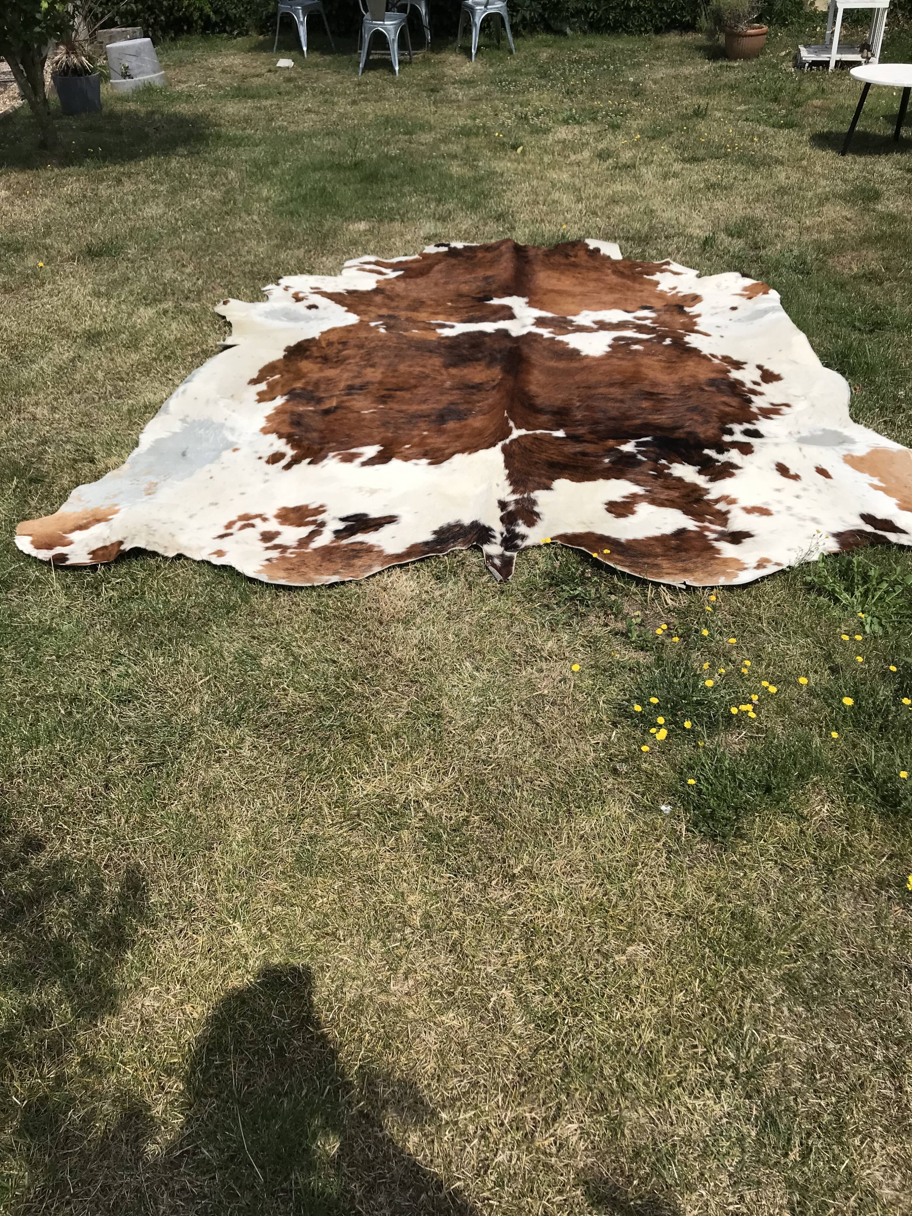 Vintage two-tone cowhide carpet
