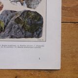 Original lithograph on rocks